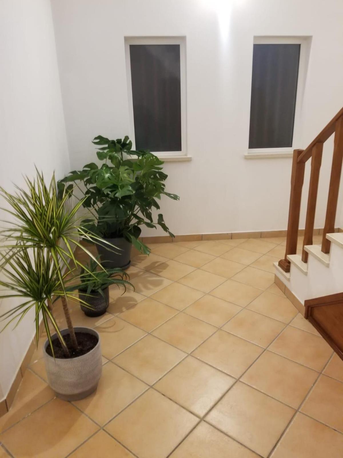 Appartamento Le Parisien 1 Serra d'El-Rei Esterno foto